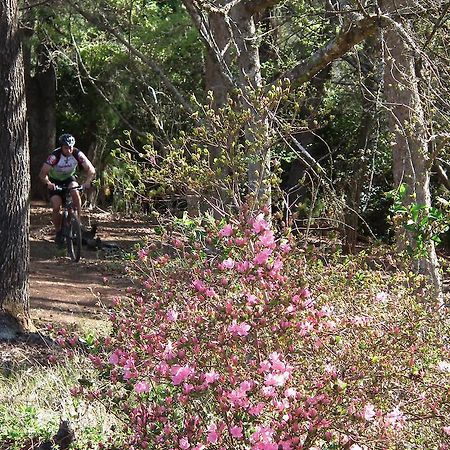 Cheerio Trout Fishing & Holiday Resort Tzaneen Extérieur photo