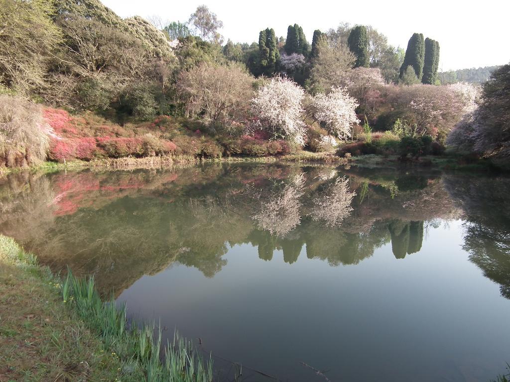 Cheerio Trout Fishing & Holiday Resort Tzaneen Extérieur photo