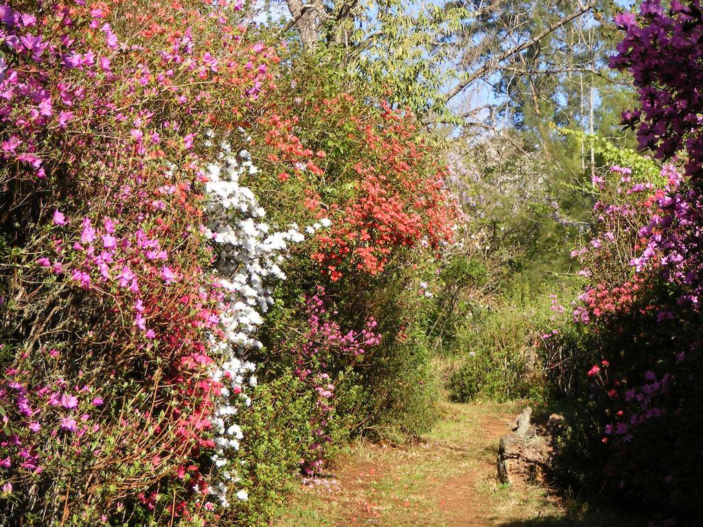 Cheerio Trout Fishing & Holiday Resort Tzaneen Chambre photo